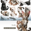 Kotki