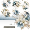 Lilie - 02