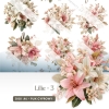 Lilie - 03