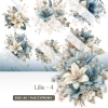 Lilie - 04