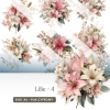 Lilie - 05