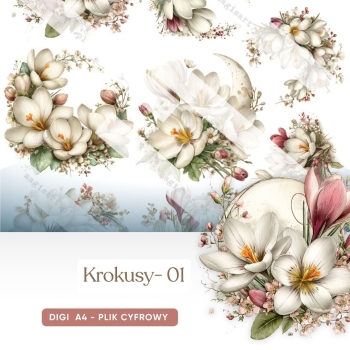 Krokusy - 1