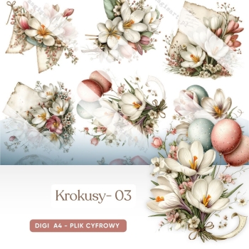Krokusy - 3