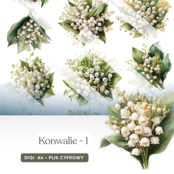 Konwalie - 01
