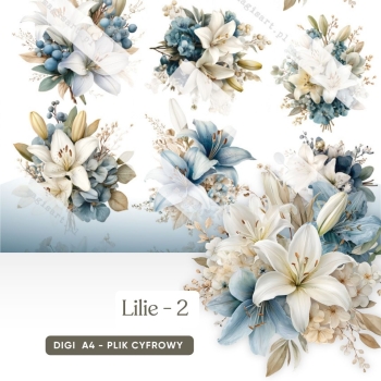 Lilie - 02