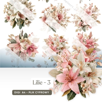 Lilie - 03