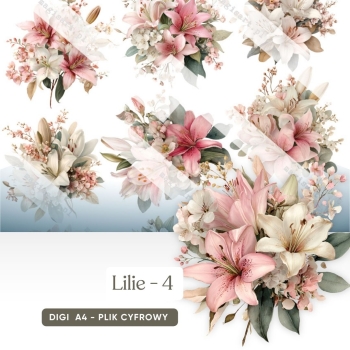 Lilie - 05
